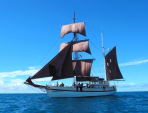 Coral Trecker Sydney Tall Ships